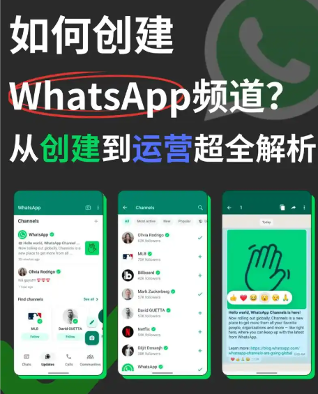 WhatsApp 拖曳传送大容量文件
